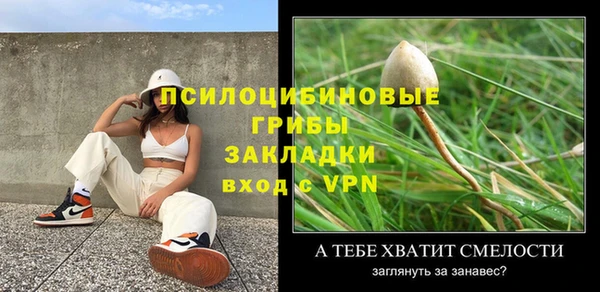 шишки Аша