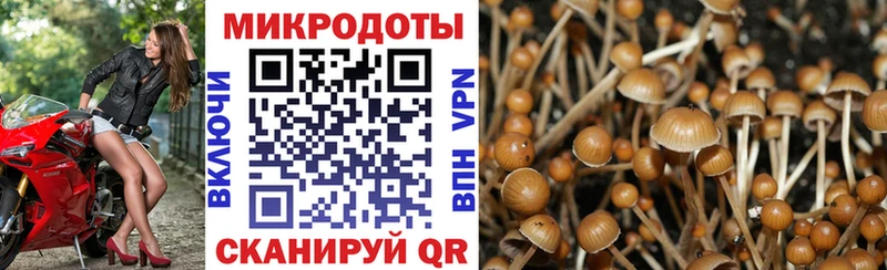 Галлюциногенные грибы мухоморы  купить  сайты  Камешково 